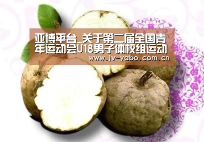 亚博平台_关于第二届全国青年运动会U18男子体校组运动队报名公示的通知(图1) 亚博体育